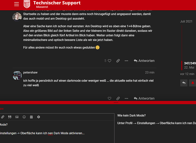 2025-05-22 13_39_27-Technischer Support - Miasanrot - Miasanrot Kurve und 1 weitere Seite - Profil 1